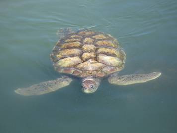 IMG_5521.jpg