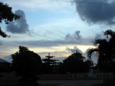 IMG_5910.jpg