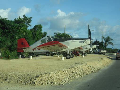 IMG_5905.jpg