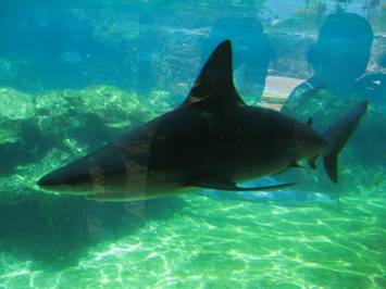 IMG_5499.jpg